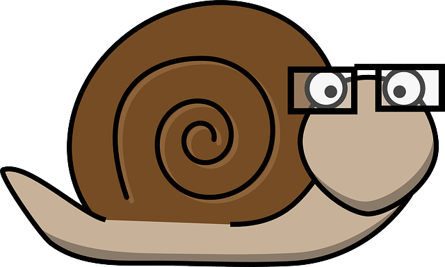 snail-306356_640.png
