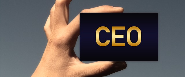 CEO as Director