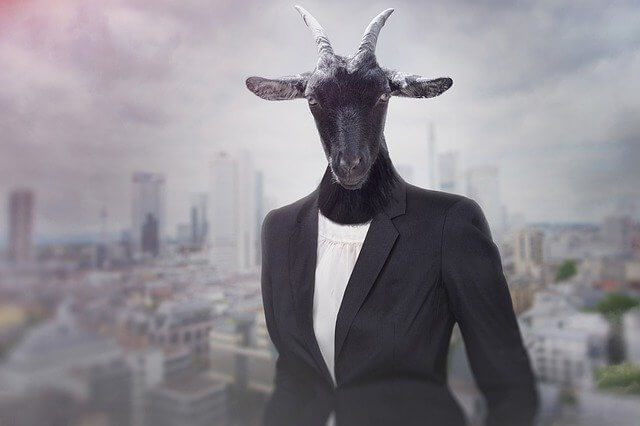 Figure Head Scape Goat Any Employee as Factual Managing Director
