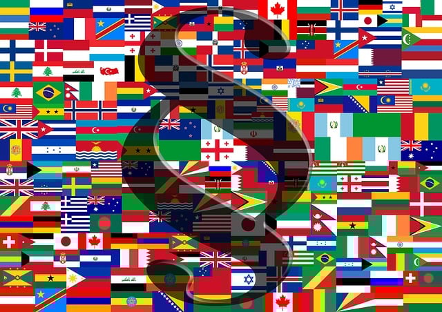 What special regulations apply for lawyers in Germany? Professional regulations for lawyers in Germany