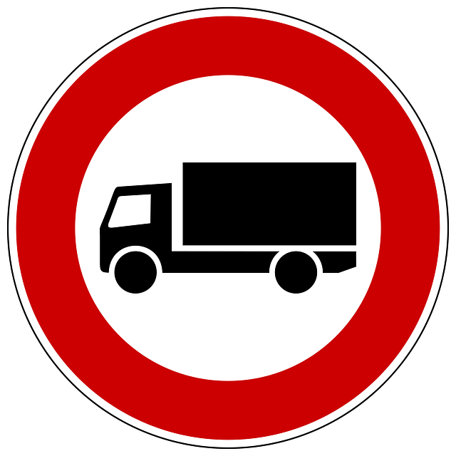 Requirements for truck drivers in Germany
