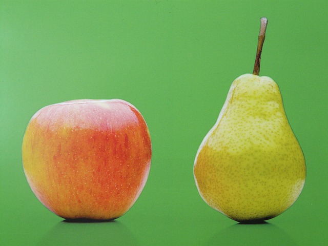 Wie ein Vergleich von Äpfeln und Birnen: Unterschied zwischen Neugründung und Kauf einer Vorratsgesellschaft